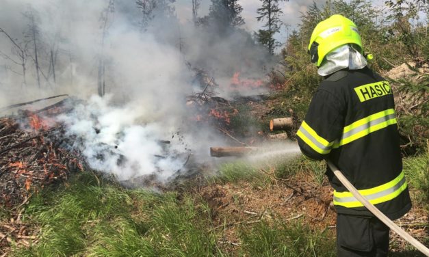 U Chabičova včera hořel les