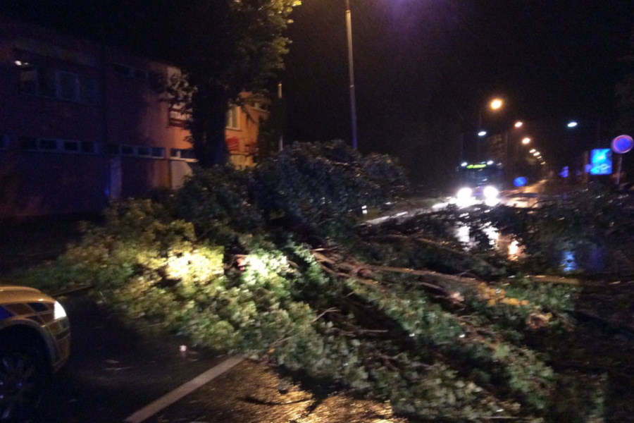 Na Lazeckou ulici v Olomouci spadl v  noci strom